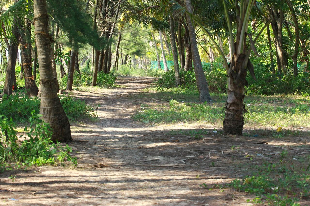 Marari Peace Homestay Марарикулам Екстериор снимка